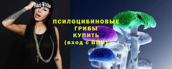 2c-b Балахна