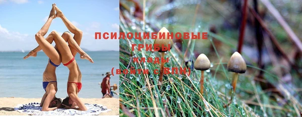 гидропоника Балабаново